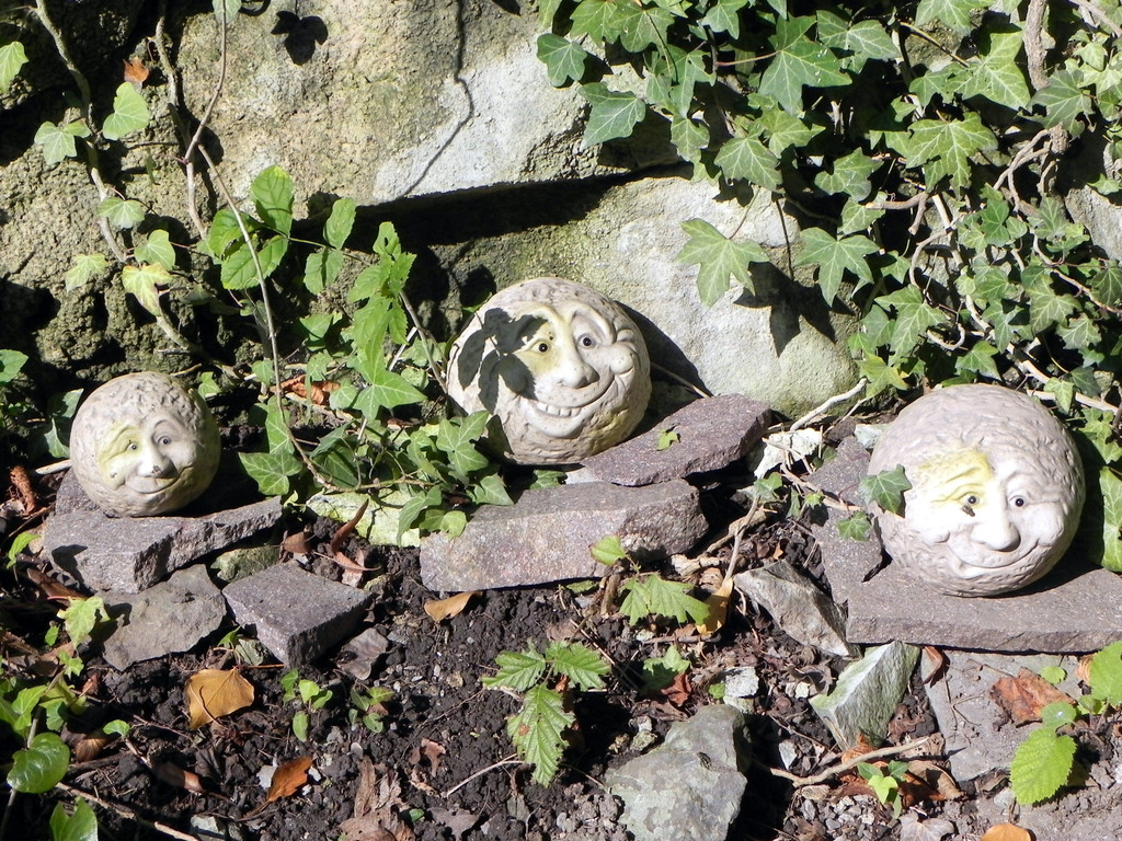 DSCN2360.JPG