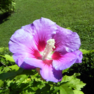 DSCN2363.JPG