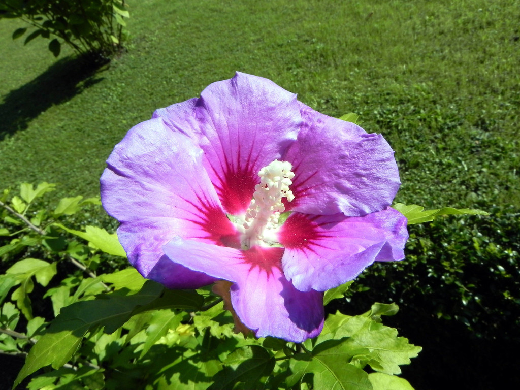 DSCN2363.JPG
