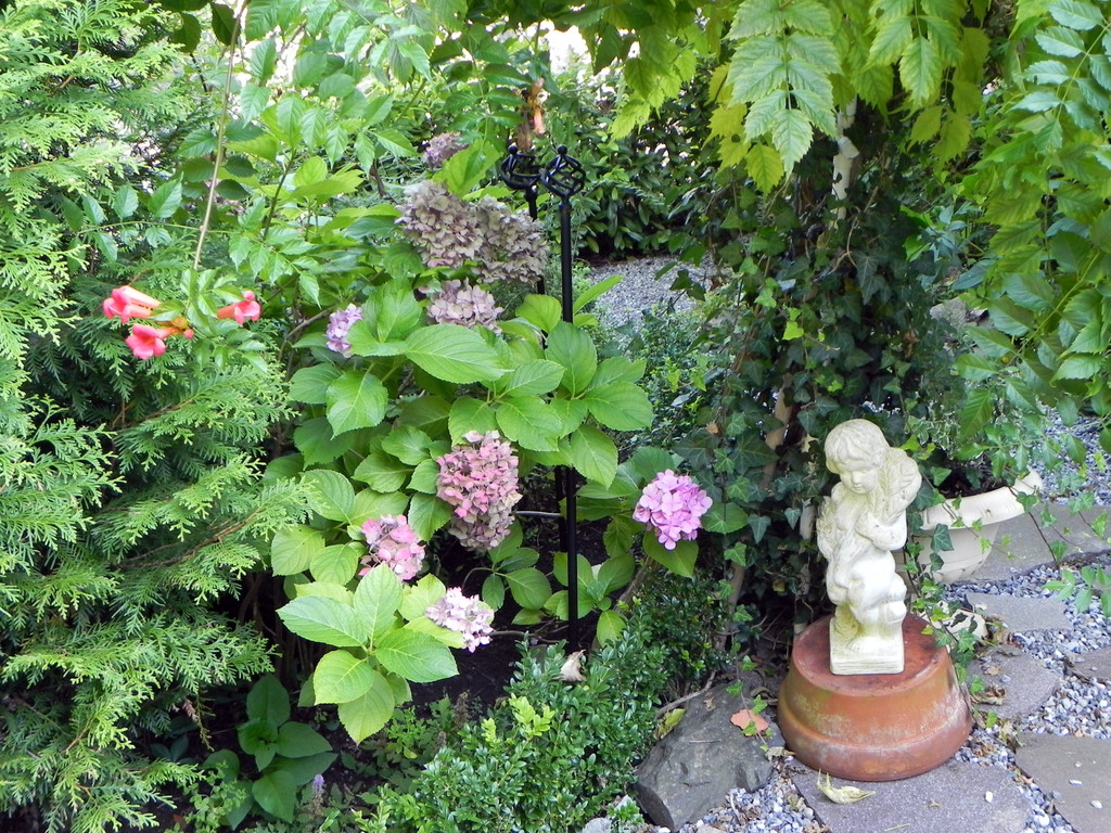 DSCN2369.JPG