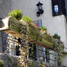 DSCN2379.JPG