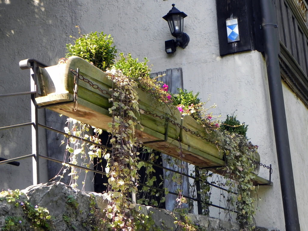 DSCN2379.JPG