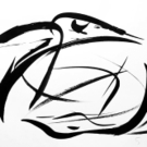 kolibris.jpg