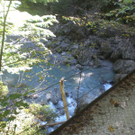 CIMG3283.JPG
