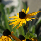 DSC09334_JPG-1285168942