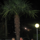 IMG_9324_JPG-1285173980