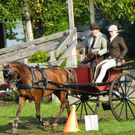 106_3593_jpg-1285187166