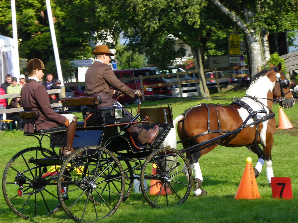 106_3637_jpg-1285187234