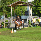 106_3643_jpg-1285187245