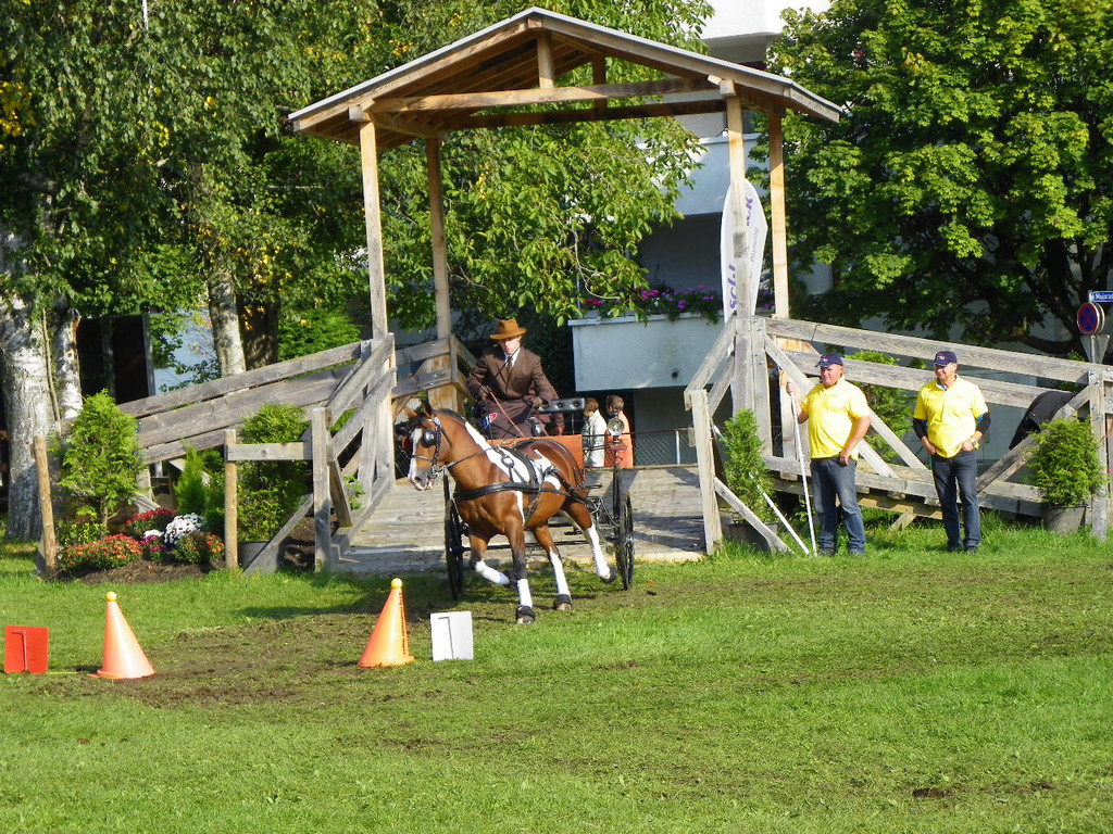 106_3643_jpg-1285187245