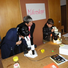 106_3928_jpg-1285196309