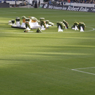 dc1-5rv043fngol1fftak6po_original.jpg