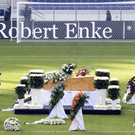 dc1-5rv0hqms9eul4r646po_original.jpg