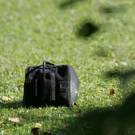 normal_22092010zugffaktivnews_40.jpg