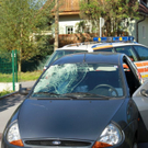 normal_24092010vuhoeglwoerthwegmwaktivnews_09.jpg