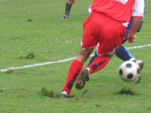 IMG_5854.JPG
