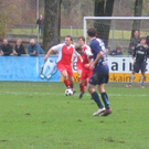 IMG_5864.JPG