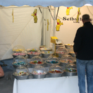 IMG_8290.JPG
