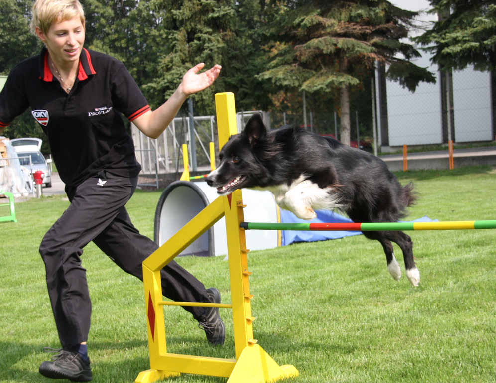 Agility Weltmeisterin Frick   09 062_jpg-1285340921
