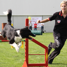 Agility Weltmeisterin Frick   09 136_jpg-1285340946