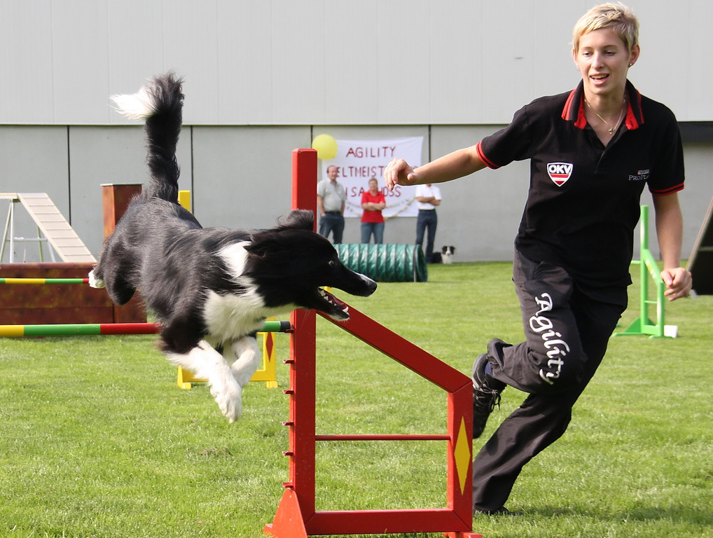 Agility Weltmeisterin Frick   09 136_jpg-1285340946