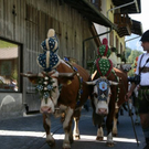 normal_240920101230uhralmrlaktivnews__17_.jpg