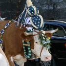 normal_240920101230uhralmrlaktivnews__18_.jpg
