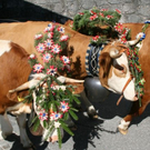 normal_240920101230uhralmrlaktivnews__20_.jpg
