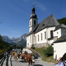 normal_240920101230uhralmrlaktivnews__27_.jpg