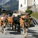 normal_240920101230uhralmrlaktivnews__32_.jpg