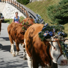 normal_240920101230uhralmrlaktivnews__36_.jpg