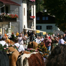 normal_240920101230uhralmrlaktivnews__39_.jpg