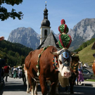 normal_240920101230uhralmrlaktivnews__42_.jpg