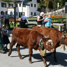 normal_240920101230uhralmrlaktivnews__43_.jpg