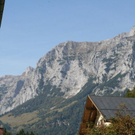 normal_240920101230uhralmrlaktivnews__5_.jpg