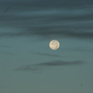 normal_24092010ballontaaktivnews_041.jpg