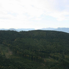normal_24092010ballontaaktivnews_112.jpg