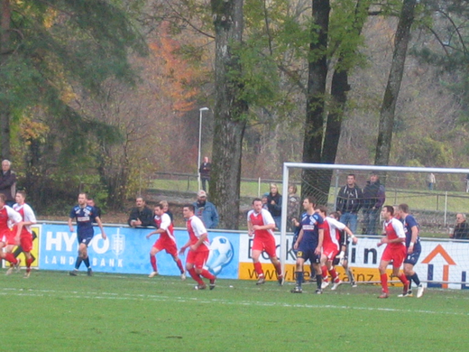 IMG_5803.JPG