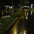 100___01-IMG_0120.JPG