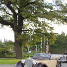 Mercedes Oldies im Seehotel 2010 _15__jpg-1285410713