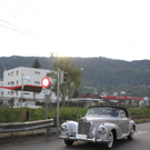 Mercedes Oldies im Seehotel 2010 _13__jpg-1285410685
