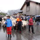 DSC01438.JPG