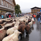 DSC01443.JPG
