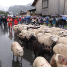 DSC01448.JPG