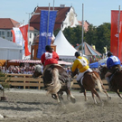 normal_24092010histwiesnhmaktivnews__26_.jpg