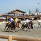normal_24092010histwiesnhmaktivnews__27_.jpg