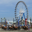 normal_24092010histwiesnhmaktivnews__29_.jpg
