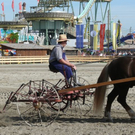 normal_24092010histwiesnhmaktivnews__36_.jpg