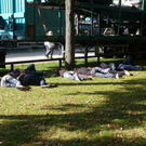 normal_24092010histwiesnhmaktivnews__42_.jpg