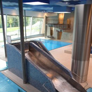 web250910therme-oberlaa031_001.jpg